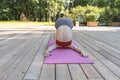 Young beautiful woman doing yoga poses in the park