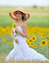 Young beautiful woman on field in summer Royalty Free Stock Photo