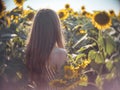 Young beautiful woman in a field of sunflowers stands back and looks at sunset Royalty Free Stock Photo