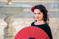 Young beautiful woman in a flamenco costume. Royalty Free Stock Photo