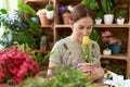 Young beautiful woman florist smiling confident smelling flower at flower shop Royalty Free Stock Photo