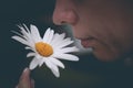 Young beautiful woman with flower, inhales the scent of chamomile Royalty Free Stock Photo