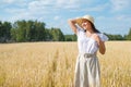 Young beautiful woman in golden wheat field. concept of summer, freedom, warmth, harvest, agriculture Royalty Free Stock Photo
