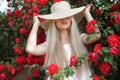 Young beautiful woman in a hat, near a large bush of red roses in the spring garden outdoors Royalty Free Stock Photo