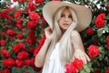 Young beautiful woman in a hat, near a large bush of red roses in the spring garden outdoors Royalty Free Stock Photo