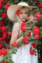 Young beautiful woman in a hat, near a large bush of red roses in the spring garden outdoors Royalty Free Stock Photo