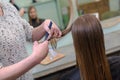 Young beautiful woman having hair cut at hairdressers Royalty Free Stock Photo