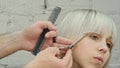 Young beautiful woman having her hair cut at the hairdresser`s.