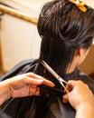 Young beautiful woman having her hair cut at the hairdresser Royalty Free Stock Photo