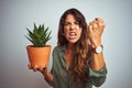 Young beautiful woman holding cactus pot over white isolated background annoyed and frustrated shouting with anger, crazy and Royalty Free Stock Photo