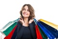 Young beautiful woman holding many colorful shopping bags Royalty Free Stock Photo