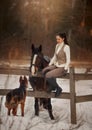 Young beautiful woman with horse and german shepherd dog outdoor portrait Royalty Free Stock Photo