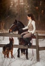 Young beautiful woman with horse and german shepherd dog outdoor portrait Royalty Free Stock Photo