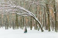 Young beautiful woman with little daughter having fun in snowy forest. Pleasant family time in winter Royalty Free Stock Photo