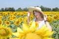 Young and beautiful woman looking at the camera in a sunflower field wearing an oversized hat Royalty Free Stock Photo