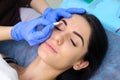 Young beautiful woman making permanent makeup in cosmetology salon. Royalty Free Stock Photo