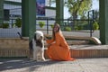 Young and beautiful woman in an orange dress, playing and posing with her bobtail dog, very smiling and happy. Concept beauty,