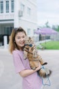 Young beautiful woman with persian cat. Royalty Free Stock Photo