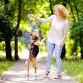 Young beautiful woman playing with Beagle dog Royalty Free Stock Photo