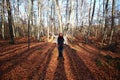 Young beautiful woman plays with beech leaves in one of the most amazing beech forest in Europe, La Fageda d'en Jorda &