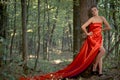 Young beautiful woman in red dress in green woods