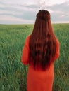 Young beautiful woman in red dress and red hair, takes a selfie on the phone in the green wheat field in the evening at Royalty Free Stock Photo