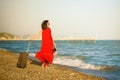 Woman in red dress with suitcase sea Royalty Free Stock Photo