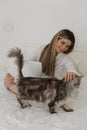 Young beautiful woman relaxing using laptop computer and stroking her gray Maine Coon cat in the bedroom. Working from home. Royalty Free Stock Photo