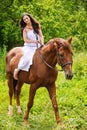 Young beautiful woman rides a horse Royalty Free Stock Photo