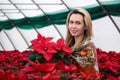 Young beautiful woman in a shawl among red flowers in a greenhouse with poinsettias holds one of the flowers in her hands Royalty Free Stock Photo