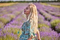 Young beautiful woman sits on a vintage swing in a lavender field Royalty Free Stock Photo