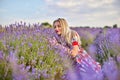 Young beautiful woman sits on a vintage swing in a lavender field Royalty Free Stock Photo