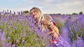 Young beautiful woman sits on a vintage swing in a lavender field Royalty Free Stock Photo