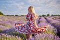 Young beautiful woman sits on a vintage swing in a lavender field Royalty Free Stock Photo