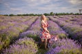 Young beautiful woman sits on a vintage swing in a lavender field Royalty Free Stock Photo