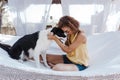 Young beautiful woman sitting on hammock with her border collie dog outdoors. Fun and summer lifestyle Royalty Free Stock Photo