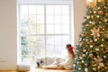 Young beautiful woman sitting home by the window wearing knitted warm sweater. Christmas tree with decorations and lights in the Royalty Free Stock Photo