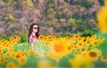 Young beautiful woman stands with a field of sunflowers at Lopburi,Thailand