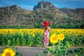 Young beautiful woman stands with her back turned on a blurred background with a field of sunflowers at Lopburi,Thailand Royalty Free Stock Photo