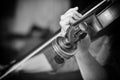 Young beautiful woman violin player looking at camera over instrument on her shoulder holding bow. Black and white image Royalty Free Stock Photo