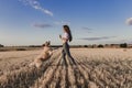 Young beautiful woman walking with her golden retriever dog on a yellow field at sunset. Nature and lifestyle outdoors Royalty Free Stock Photo