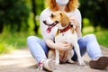 Young beautiful woman wearing disposable medical face mask with Beagle dog in the park during coronavirus outbreak. Walking of