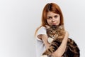 Young beautiful woman on white background holds a cat, maine coon, pets Royalty Free Stock Photo