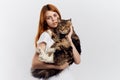 Young beautiful woman on white background holds a cat, pets, animals, girl Royalty Free Stock Photo