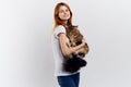 Young beautiful woman on white background holds a cat, smile, pets Royalty Free Stock Photo