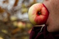 Young beautiful woman with white hair eats a biological apple that has just been plucked from a tree. In autumn, apples Royalty Free Stock Photo