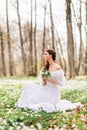 Young beautiful woman in a white long dress collects primroses. Fairy girl in the spring forest. A bouquet of white flowers in her Royalty Free Stock Photo