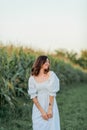 Young beautiful woman 26 years old in white simple dress in summer field. Green corn. Summer. Rustic style Royalty Free Stock Photo