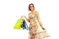 Young beautiful women with her shopping bags Royalty Free Stock Photo