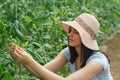 Young, beautufull woman with a hat working in a greenhouse. Royalty Free Stock Photo